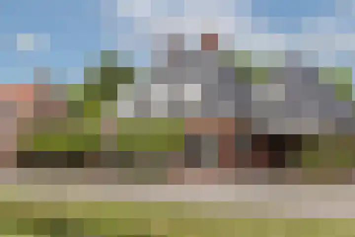 Veldleeuwerik 3 Tubbergen thumbnail 7