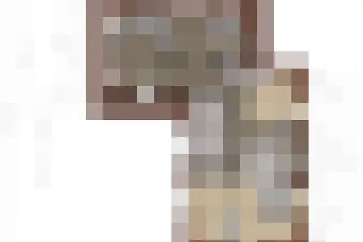 Veldleeuwerik 3 Tubbergen thumbnail 70