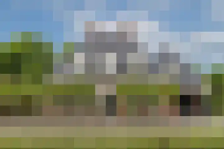 Veldleeuwerik 3 Tubbergen thumbnail 8