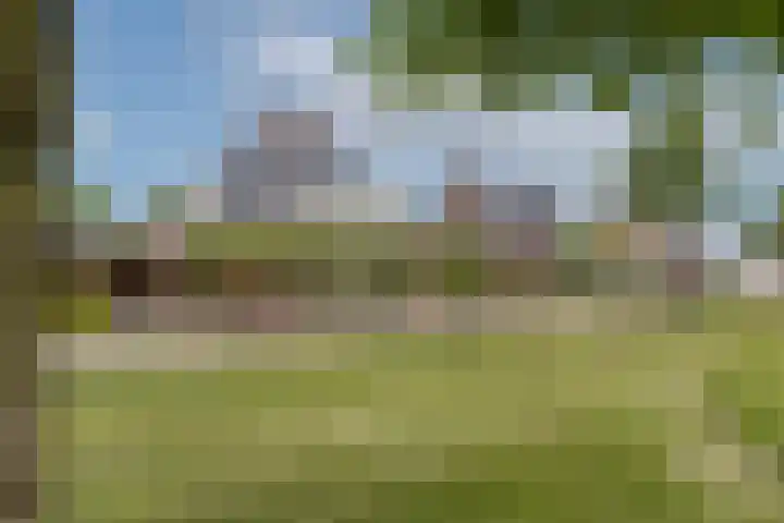Veldleeuwerik 3 Tubbergen thumbnail 9