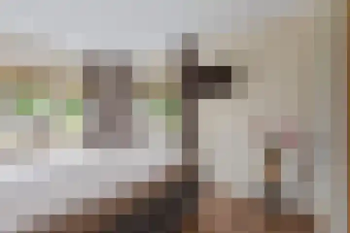 Veldleeuwerik 33 Tubbergen thumbnail 13