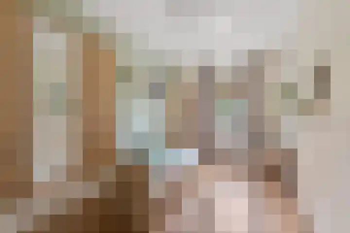 Veldleeuwerik 33 Tubbergen thumbnail 15