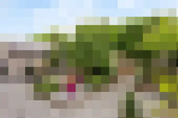 Veldleeuwerik 33 Tubbergen thumbnail 18