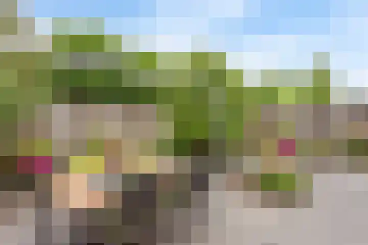 Veldleeuwerik 33 Tubbergen thumbnail 19