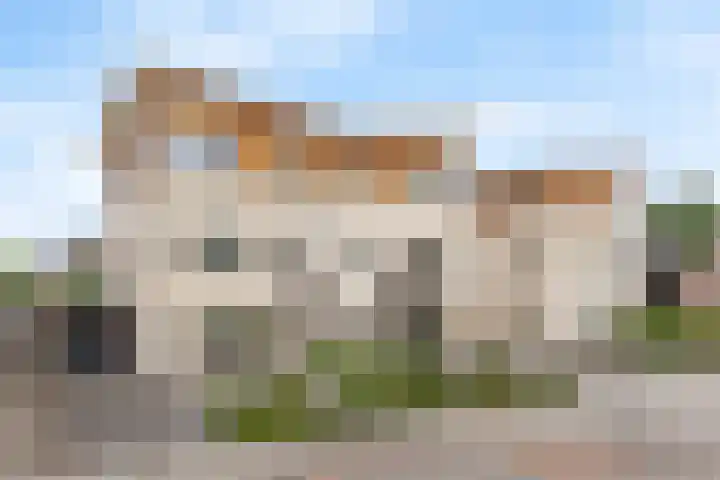 Veldleeuwerik 33 Tubbergen thumbnail 5