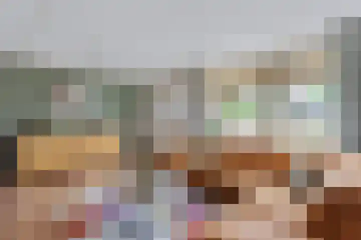Veldleeuwerik 33 Tubbergen thumbnail 7