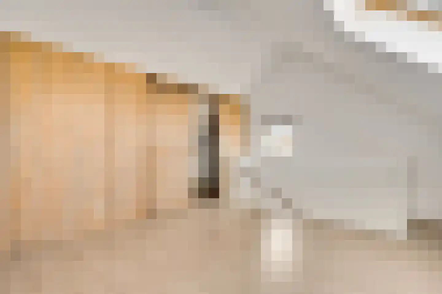 Veldleeuwerik 38 Eijsden thumbnail 17