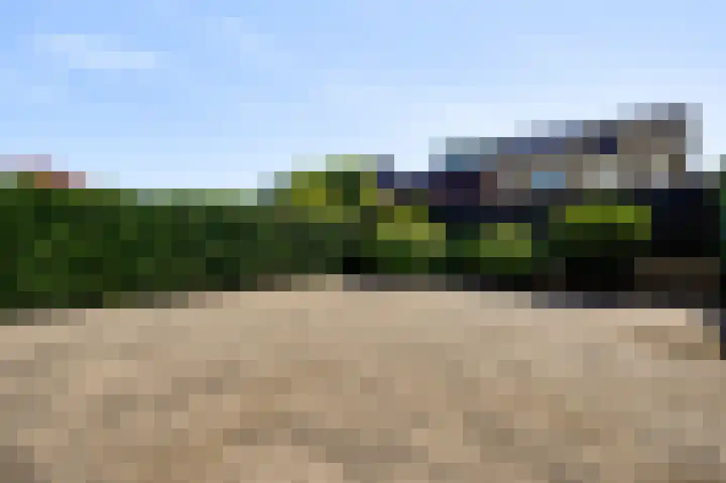 Veldleeuwerik 38 Eijsden thumbnail 19