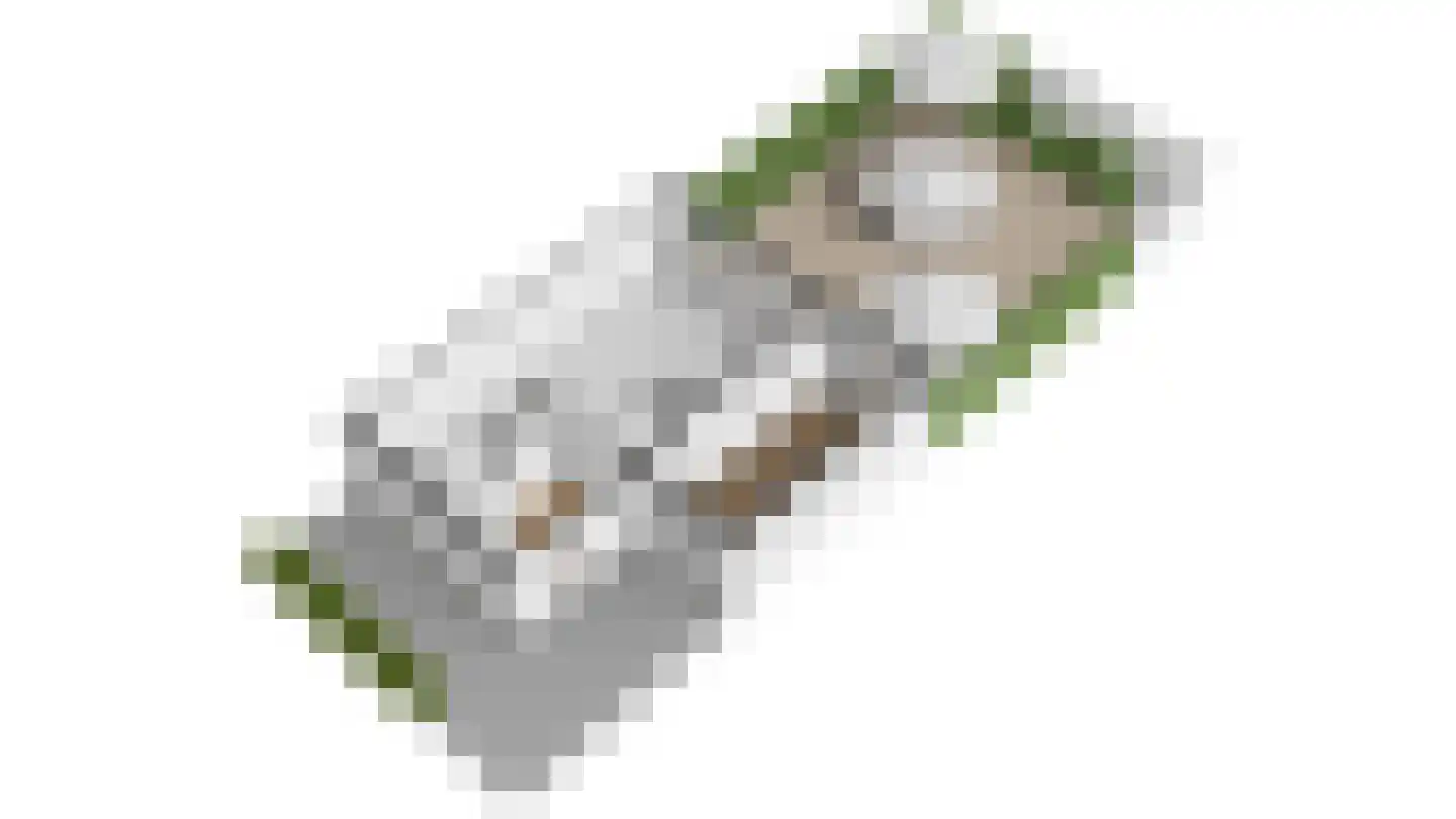 Veldleeuwerik 38 Eijsden thumbnail 21