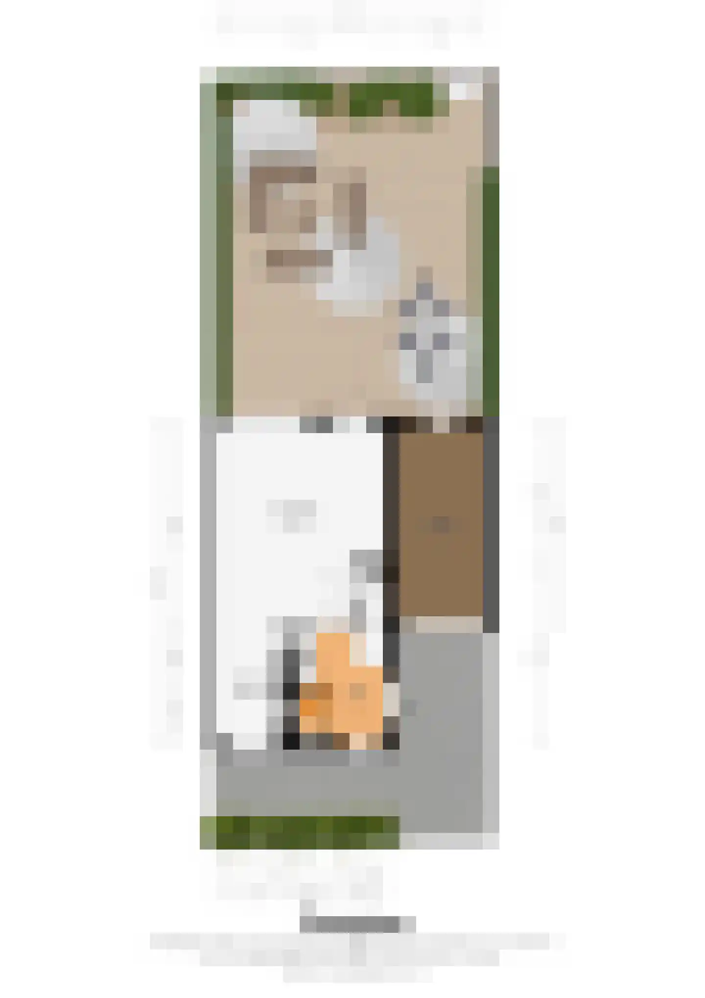 Veldleeuwerik 38 Eijsden thumbnail 22