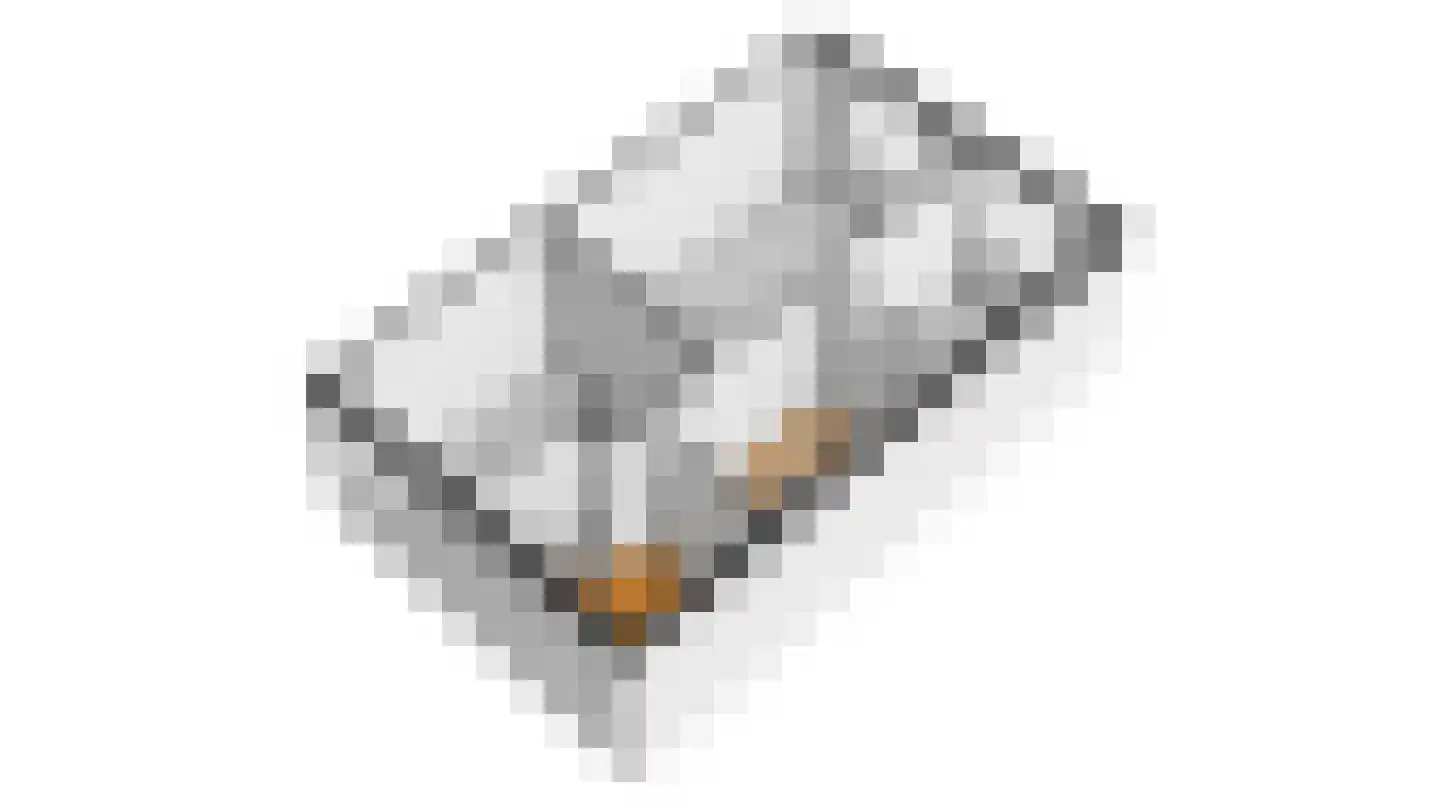 Veldleeuwerik 38 Eijsden thumbnail 25