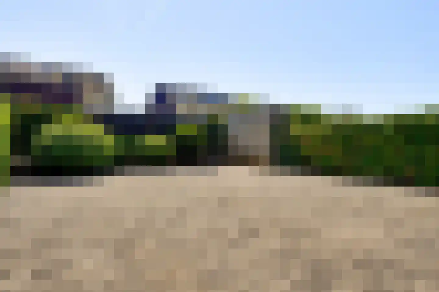 Veldleeuwerik 38 Eijsden thumbnail 4