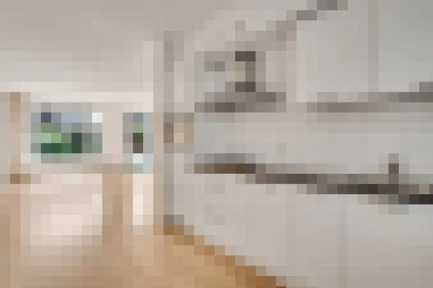 Veldleeuwerik 38 Eijsden thumbnail 9