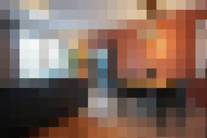 Veldleeuwerik 39 Eijsden thumbnail 15