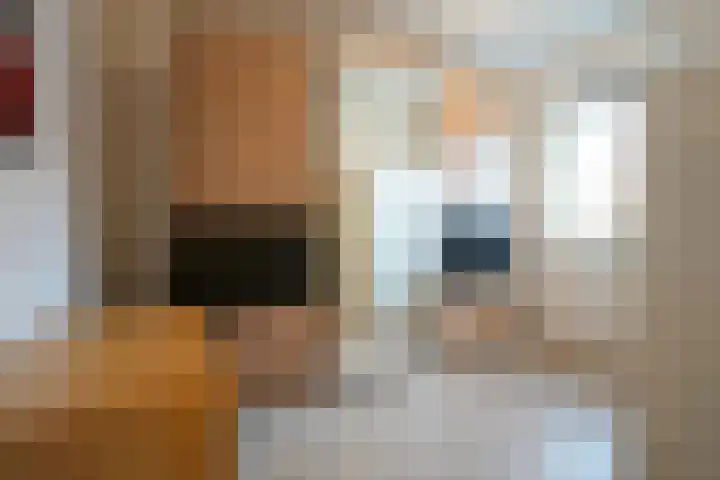 Veldleeuwerik 39 Eijsden thumbnail 19