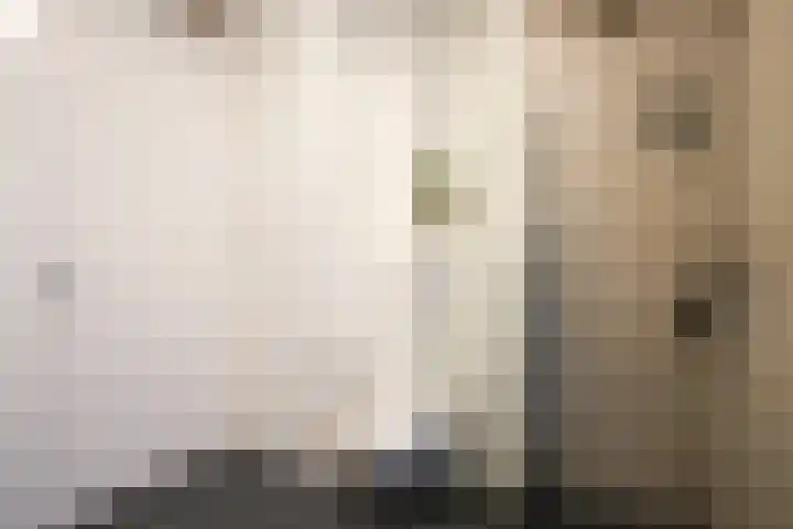Veldleeuwerik 39 Eijsden thumbnail 21