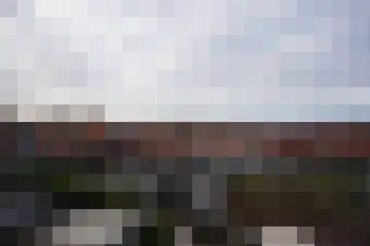 Veldleeuwerik 39 Eijsden thumbnail 27