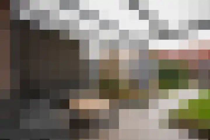 Veldleeuwerik 39 Eijsden thumbnail 28