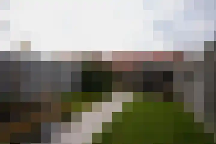 Veldleeuwerik 39 Eijsden thumbnail 30