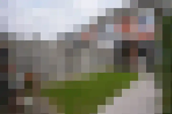 Veldleeuwerik 39 Eijsden thumbnail 31