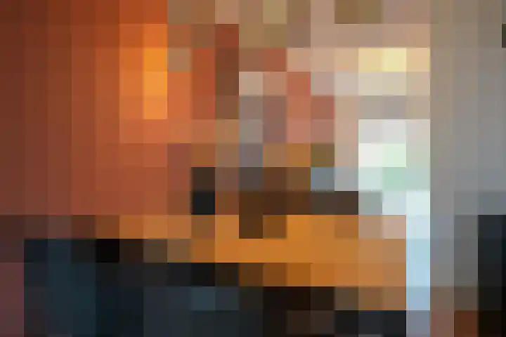 Veldleeuwerik 39 Eijsden thumbnail 8