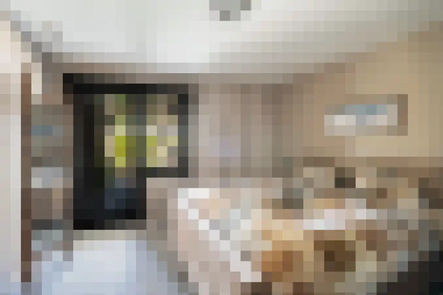 Veldleeuweriklande 5 Pijnacker thumbnail 17