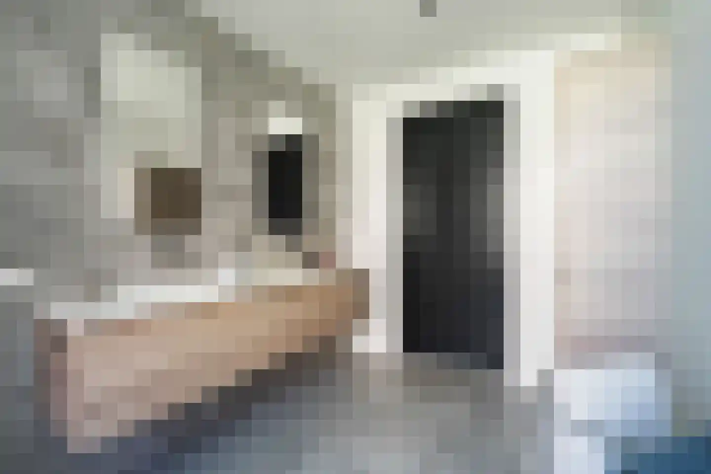 Veldleeuweriklande 5 Pijnacker thumbnail 21