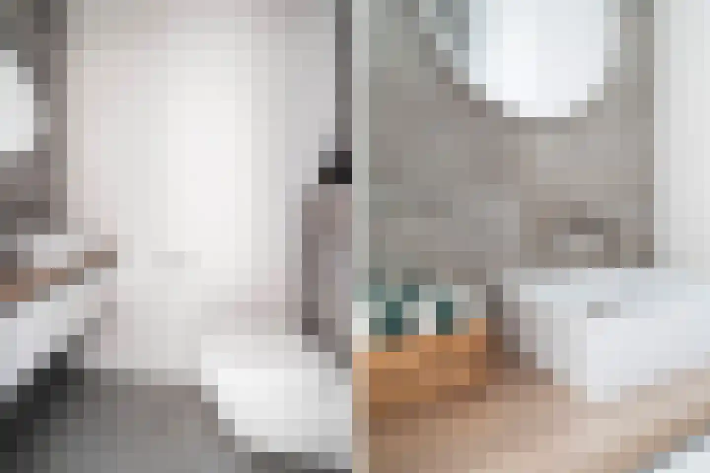 Veldleeuweriklande 5 Pijnacker thumbnail 22