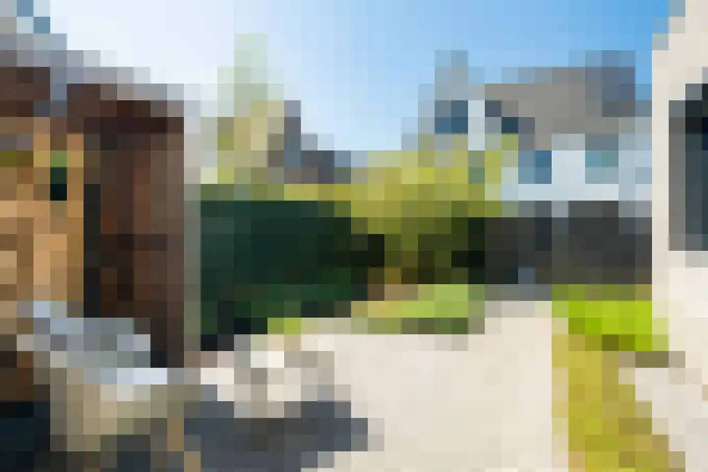 Veldleeuweriklande 5 Pijnacker thumbnail 42