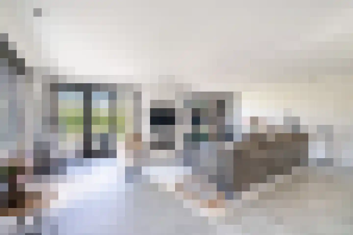 Veldleeuweriklande 5 Pijnacker thumbnail 5