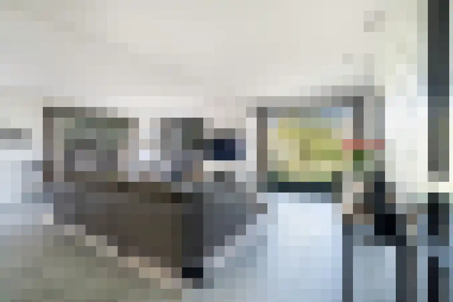 Veldleeuweriklande 5 Pijnacker thumbnail 6