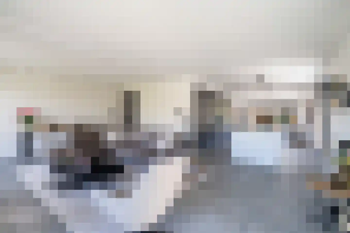 Veldleeuweriklande 5 Pijnacker thumbnail 9