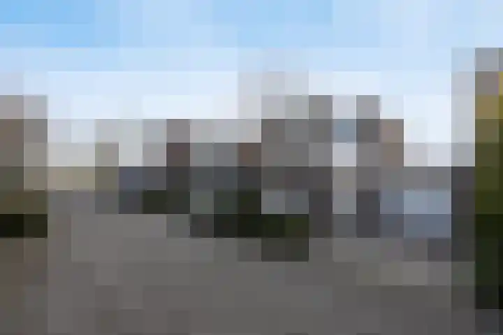 Veldloop 8 Etten-Leur thumbnail 36