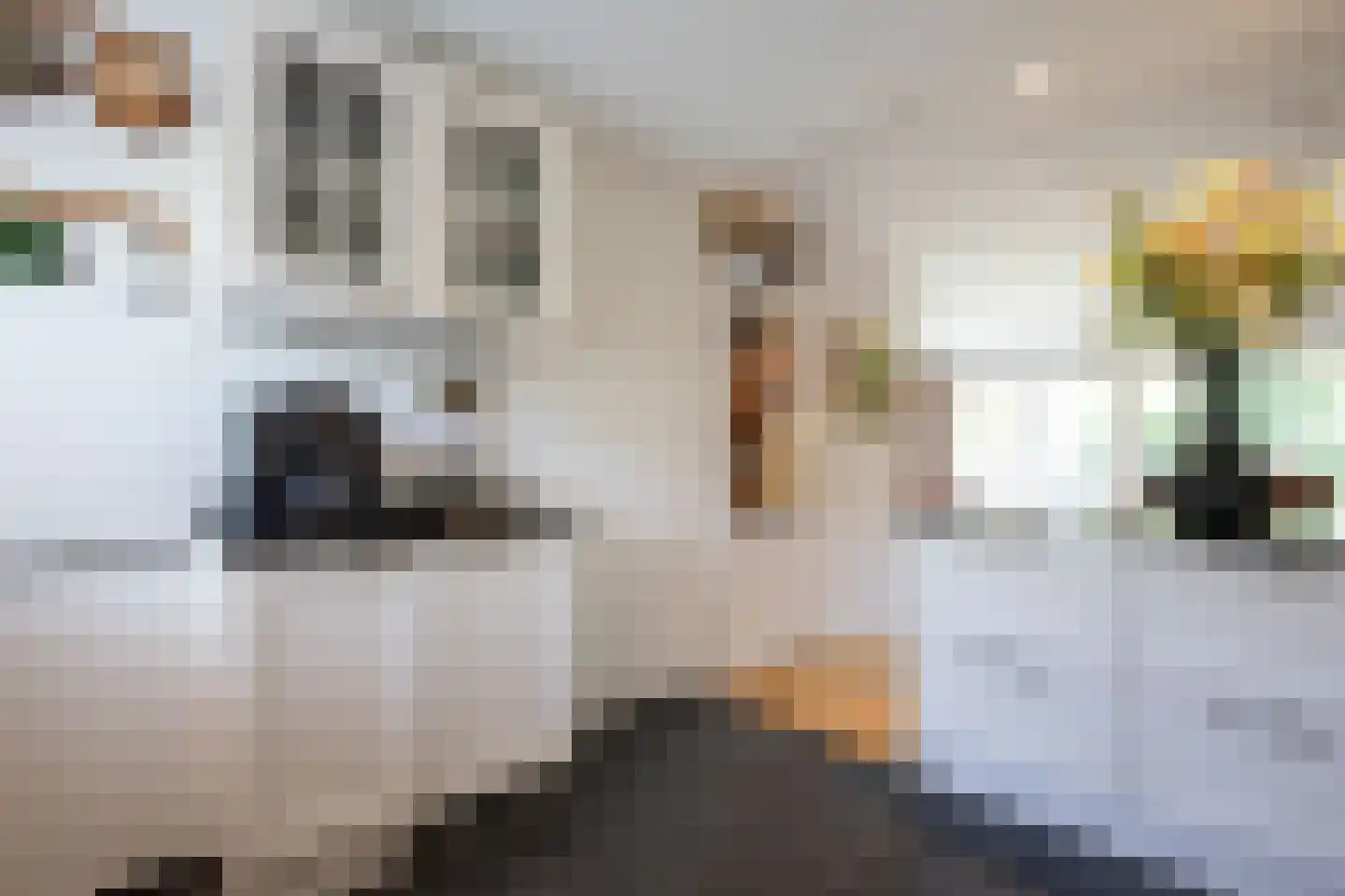 Veldlust 24 Amstelveen thumbnail 16