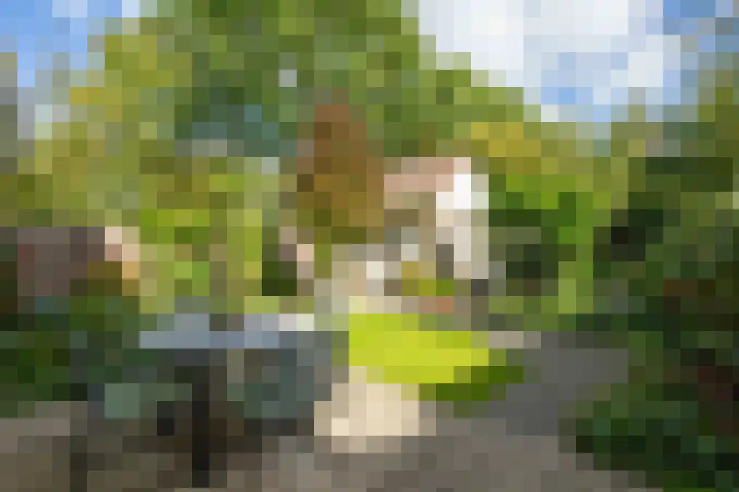 Veldlust 24 Amstelveen thumbnail 18