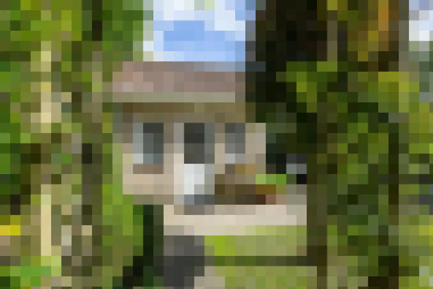Veldlust 24 Amstelveen thumbnail 19