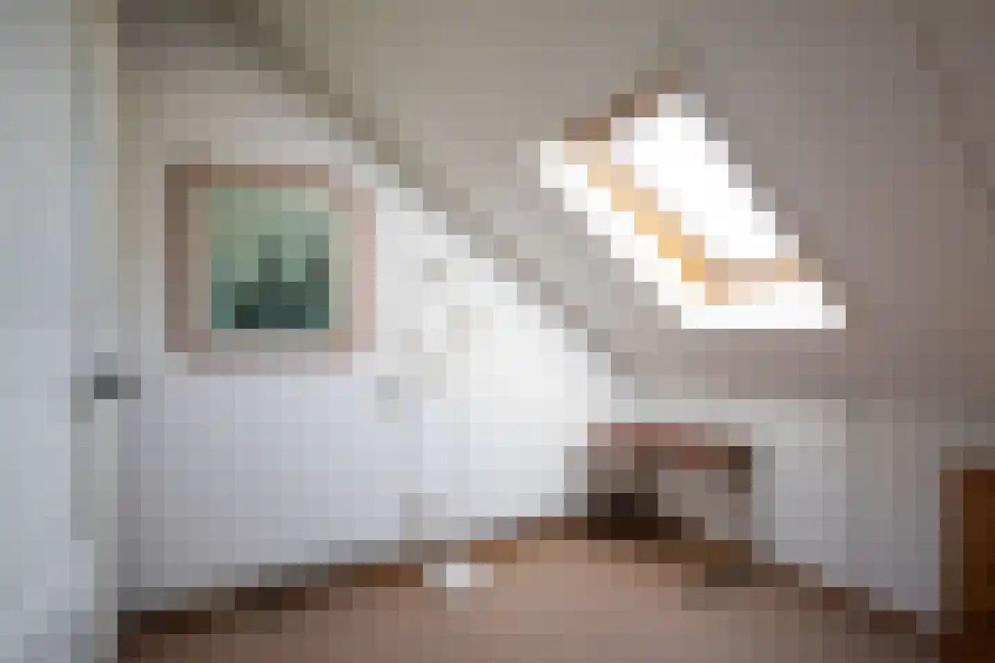 Veldlust 24 Amstelveen thumbnail 33