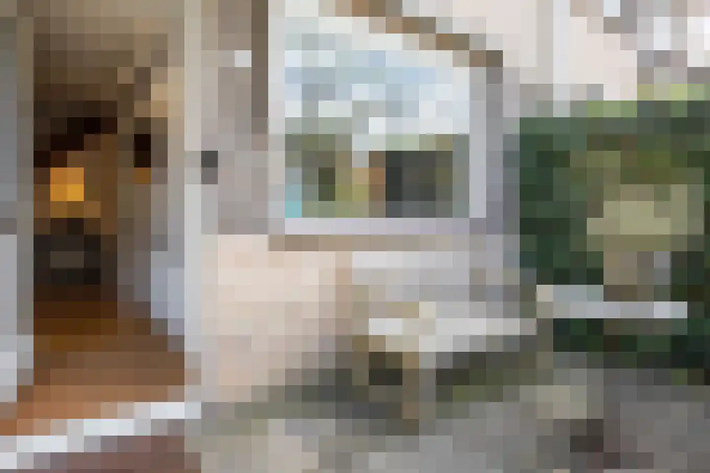 Veldlust 24 Amstelveen thumbnail 7