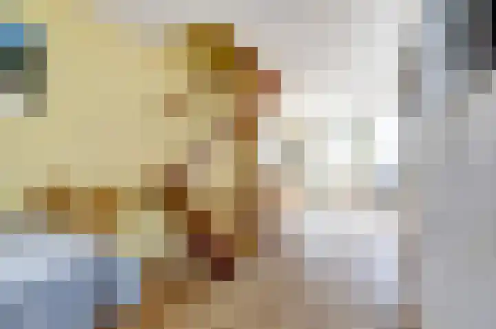 Veldm. Montgomeryhof 55 Panningen thumbnail 11