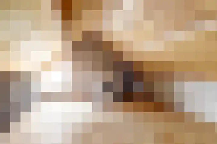 Veldm. Montgomeryhof 55 Panningen thumbnail 21