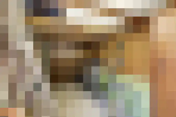 Veldm. Montgomeryhof 55 Panningen thumbnail 26
