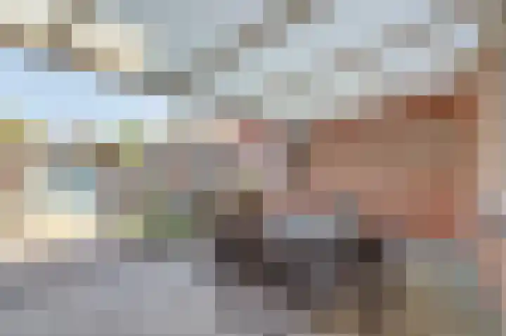 Veldm. Montgomeryhof 55 Panningen thumbnail 27