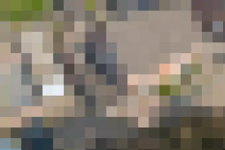 Veldm. Montgomeryhof 55 Panningen thumbnail 35