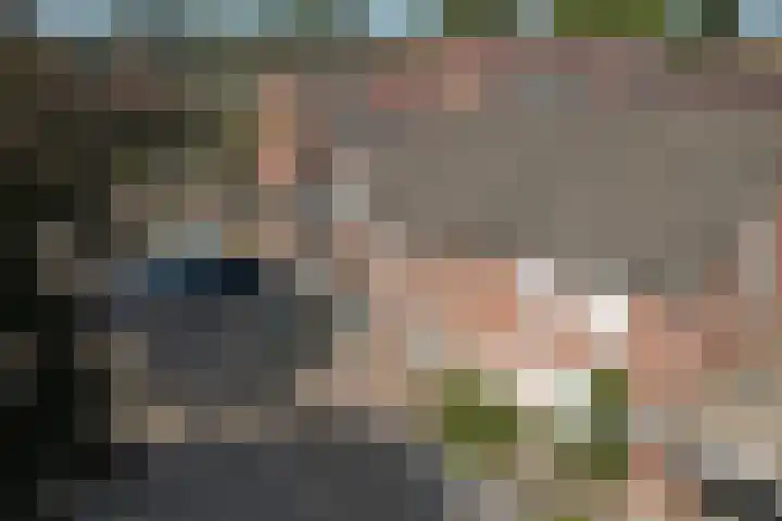 Veldm. Montgomeryhof 55 Panningen thumbnail 36