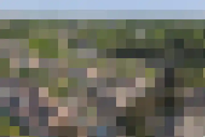 Veldm. Montgomeryhof 55 Panningen thumbnail 37