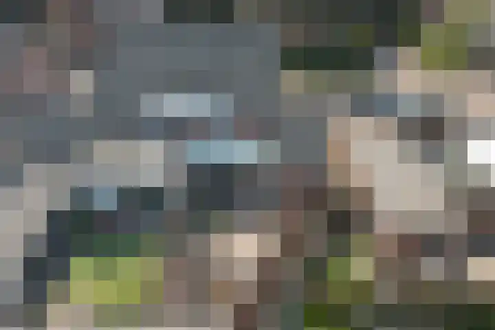 Veldm. Montgomeryhof 55 Panningen thumbnail 38