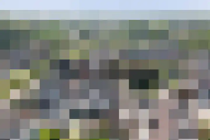 Veldm. Montgomeryhof 55 Panningen thumbnail 39
