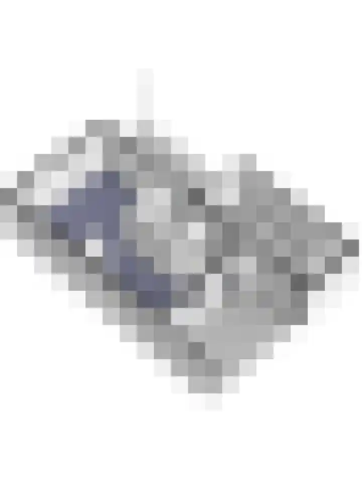 Veldm. Montgomeryhof 55 Panningen thumbnail 41