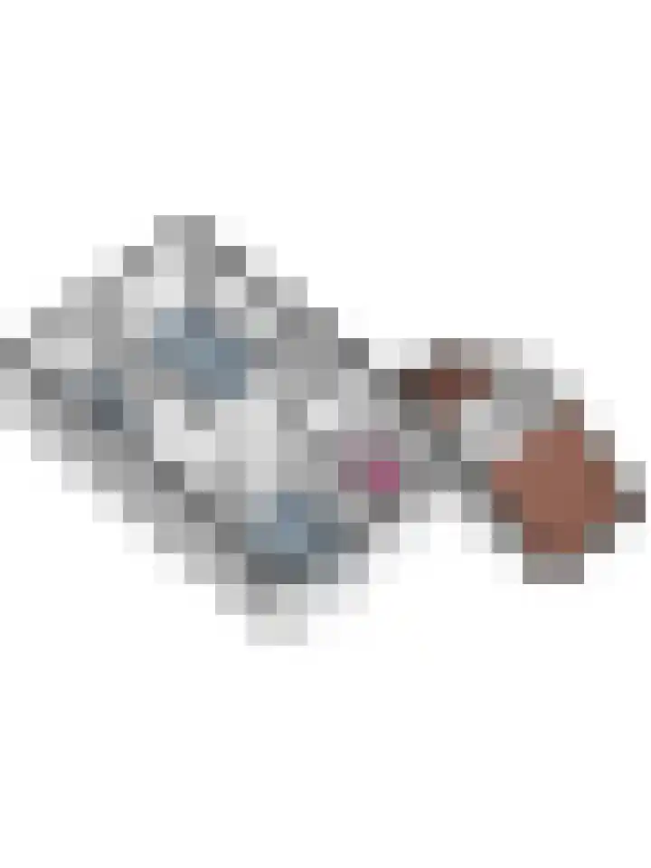 Veldm. Montgomeryhof 55 Panningen thumbnail 43