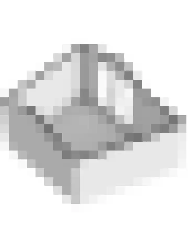 Veldm. Montgomeryhof 55 Panningen thumbnail 47